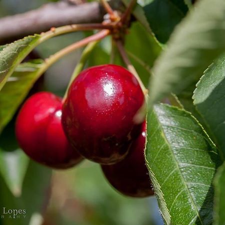 LavacolhosCasa Tita别墅 外观 照片